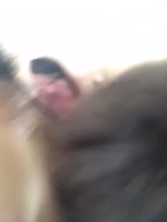 久久综合精品无码AV一区二区三区