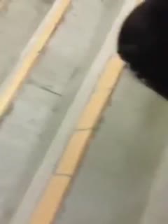 久久成人小视频