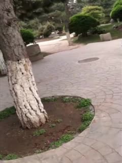 长腿丝袜老牛影院 - BD韩语超清免费观看-精品97国产免费人成视频 - 4k高清完整版 - 97视频网91精品国产情侣高潮对话原文 - BD英语电影免费在线