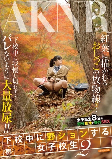 日本a级视频在线播放