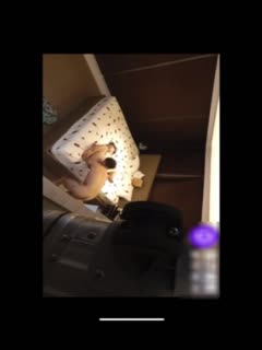 日韩AV无码一区二区三区不卡