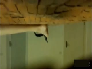 2017男人天堂手机在线