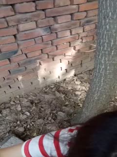 亚洲AV无码无线在线观看